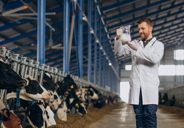 A Relação Direta entre Nutrição Animal e Desempenho Produtivo