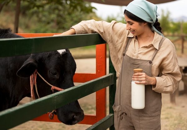 Suplementação Nutricional para Vacas Leiteiras: Produção de Leite e Qualidade do Produto