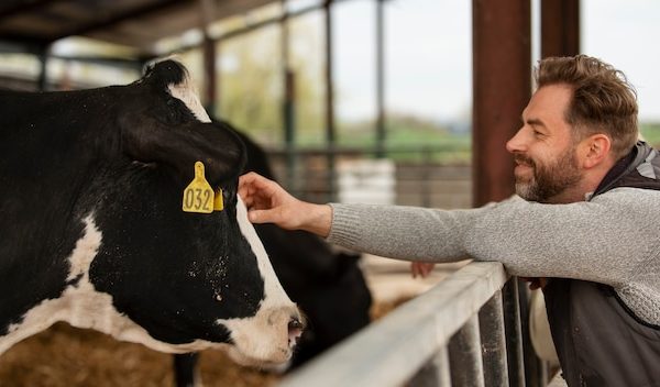 Como a Homeopatia Pode Melhorar a Eficiência Alimentar e o Crescimento dos Animais