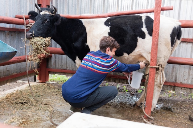 Mastite em vacas: confira o tratamento de mastite em vacas da Nutriphós