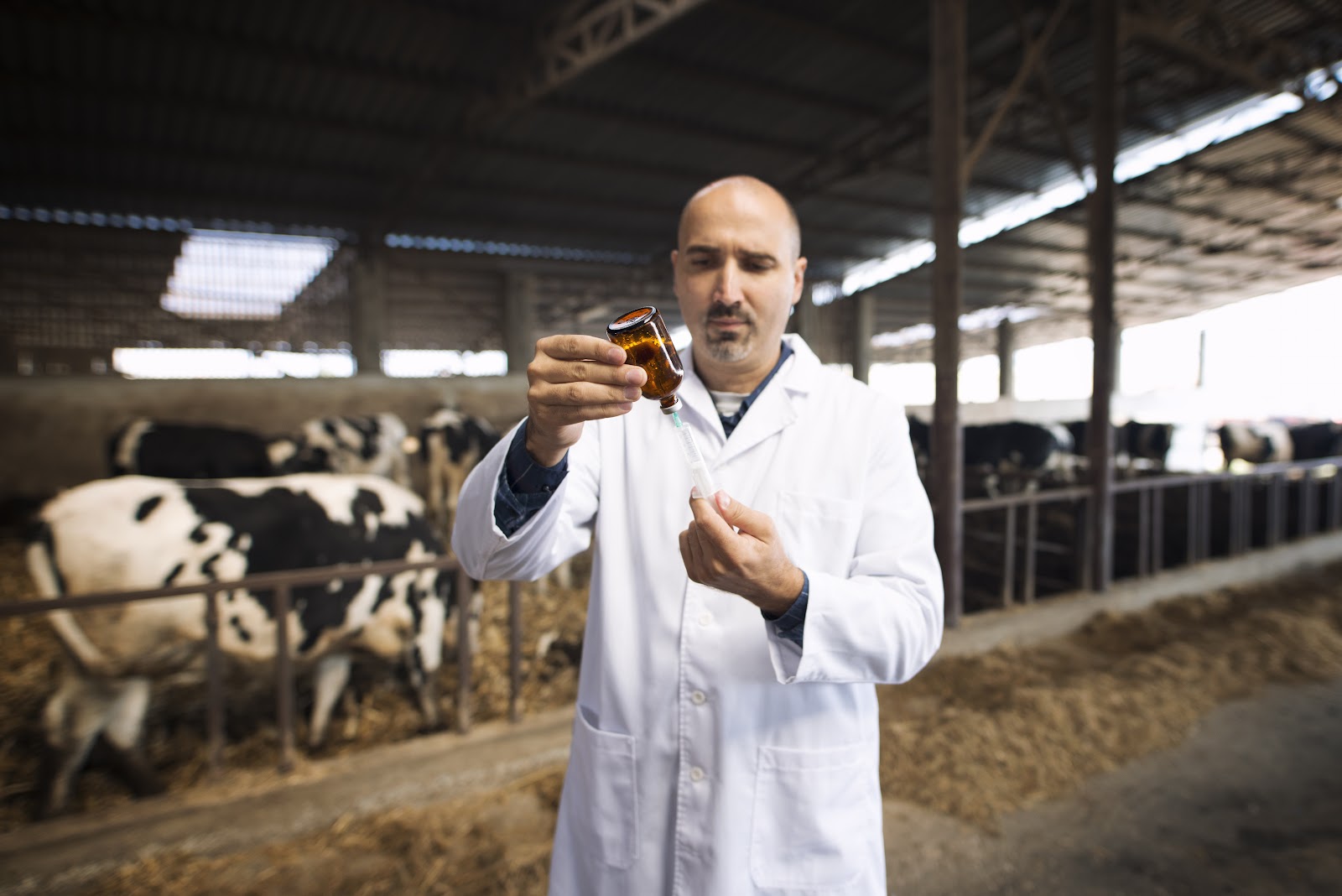 Saúde Intestinal em Foco: Prevenção e Cura da Diarreia Bovina