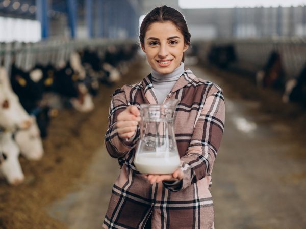 Segredos da Suplementação: Vitaminas Essenciais para Vacas Leiteiras